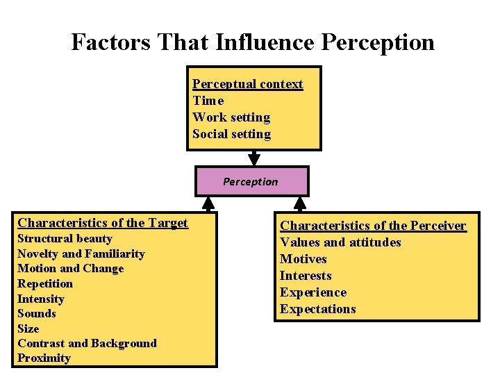 Factors That Influence Perception Perceptual context Time Work setting Social setting Perception Characteristics of