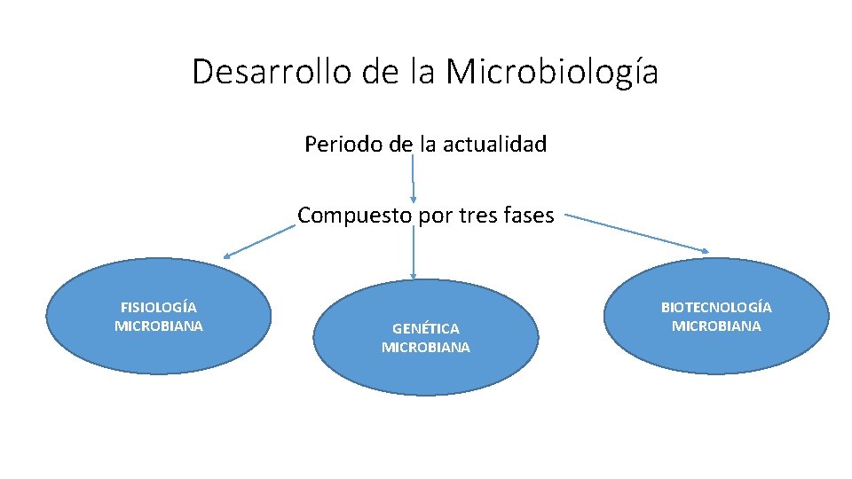 Desarrollo de la Microbiología Periodo de la actualidad Compuesto por tres fases FISIOLOGÍA MICROBIANA