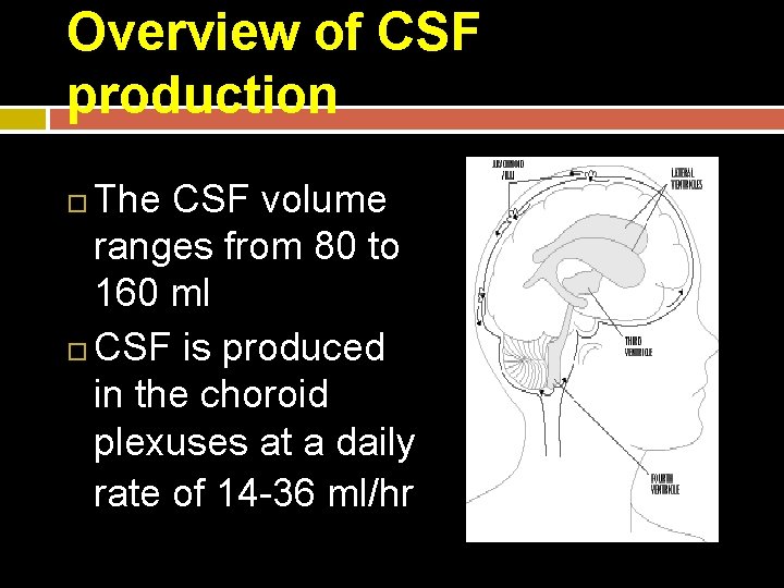 Overview of CSF production The CSF volume ranges from 80 to 160 ml CSF
