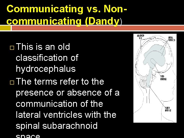 Communicating vs. Noncommunicating (Dandy) This is an old classification of hydrocephalus The terms refer