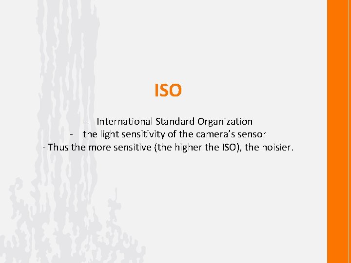 ISO - International Standard Organization - the light sensitivity of the camera’s sensor -