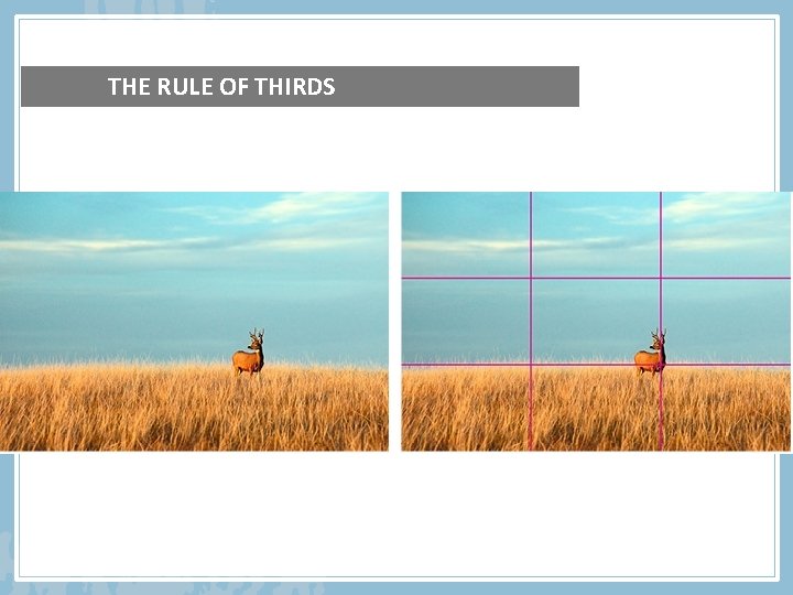 THE RULE OF THIRDS 
