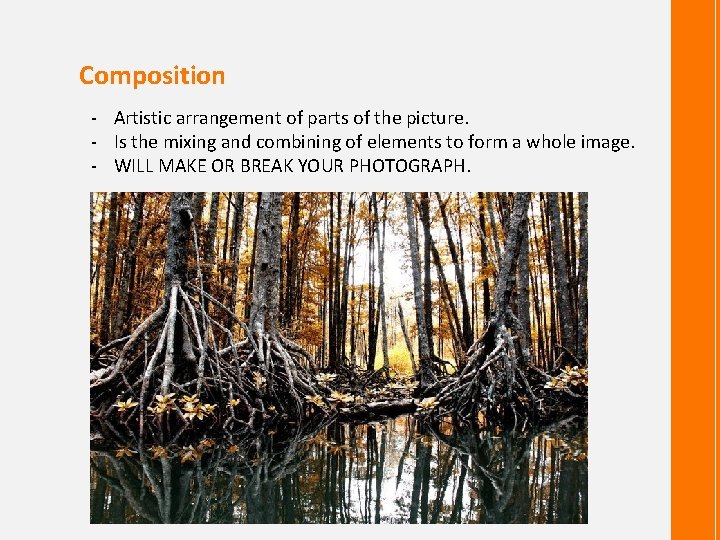 Composition - Artistic arrangement of parts of the picture. - Is the mixing and