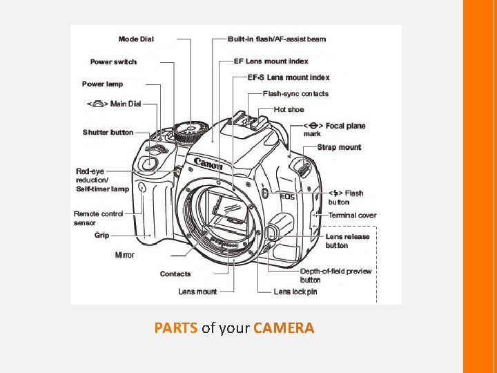 PARTS of your CAMERA 