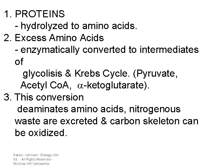 1. PROTEINS - hydrolyzed to amino acids. 2. Excess Amino Acids - enzymatically converted