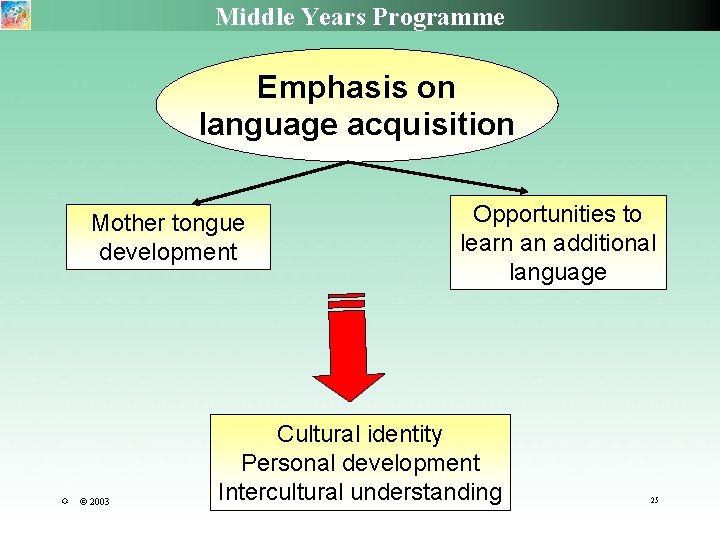 Middle Years Programme Emphasis on language acquisition Mother tongue development R © 2003 Opportunities