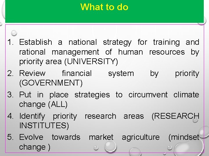 What to do 1. Establish a national strategy for training and rational management of