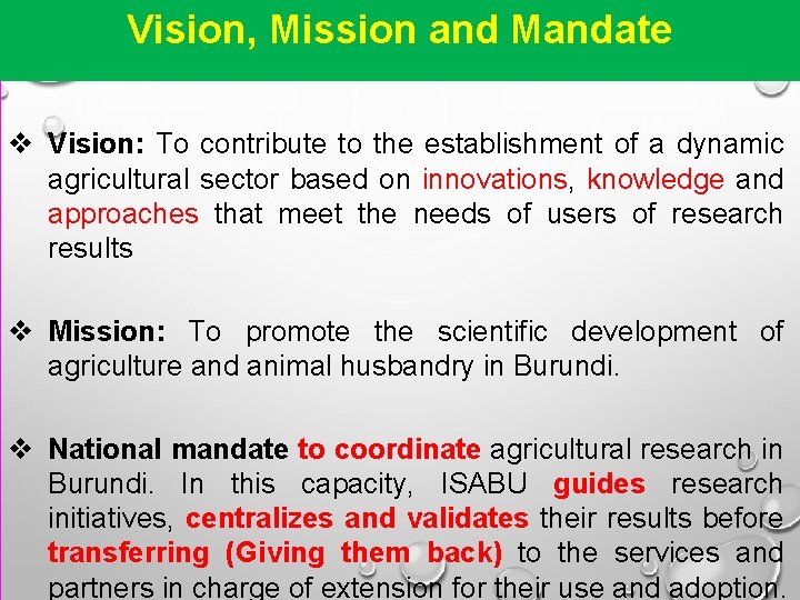 Vision, Mission and Mandate v Vision: To contribute to the establishment of a dynamic