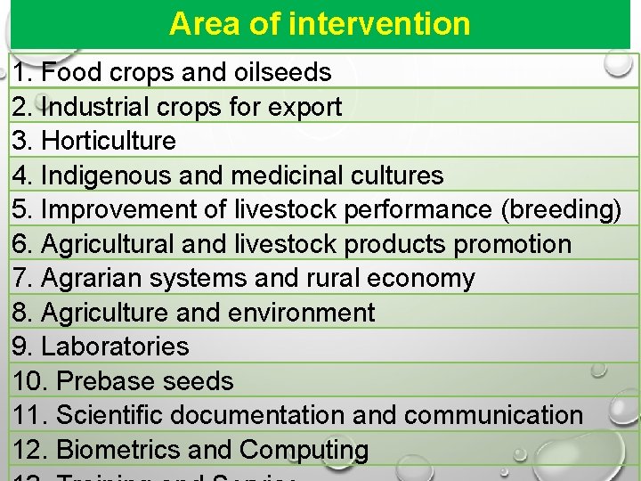 Area of intervention 1. Food crops and oilseeds 2. Industrial crops for export 3.
