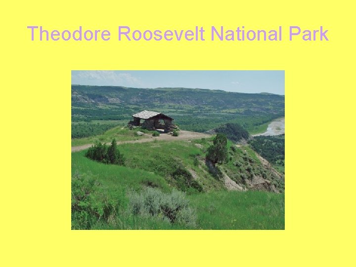 Theodore Roosevelt National Park 