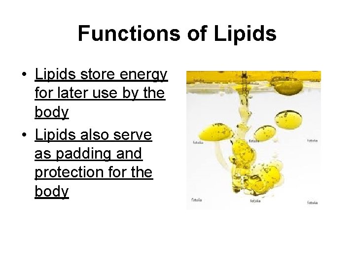 Functions of Lipids • Lipids store energy for later use by the body •