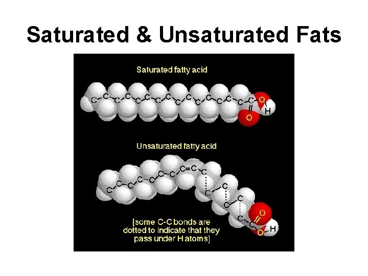 Saturated & Unsaturated Fats 