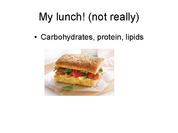 My lunch! (not really) • Carbohydrates, protein, lipids 