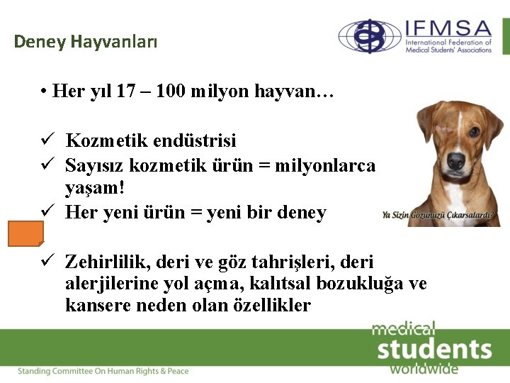 Deney Hayvanları • Her yıl 17 – 100 milyon hayvan… ü Kozmetik endüstrisi ü