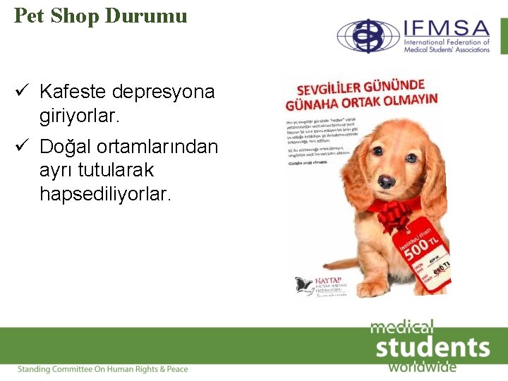 Pet Shop Durumu ü Kafeste depresyona giriyorlar. ü Doğal ortamlarından ayrı tutularak hapsediliyorlar. 