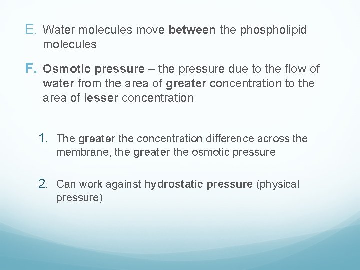 E. Water molecules move between the phospholipid molecules F. Osmotic pressure – the pressure