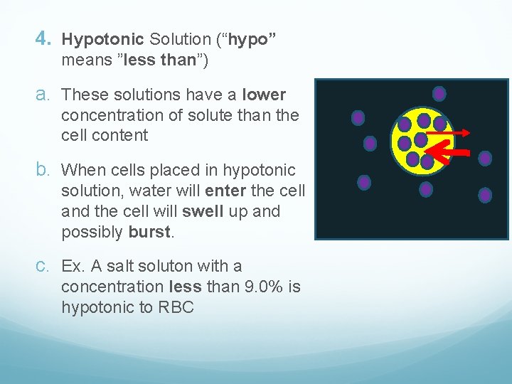 4. Hypotonic Solution (“hypo” means ”less than”) a. These solutions have a lower concentration