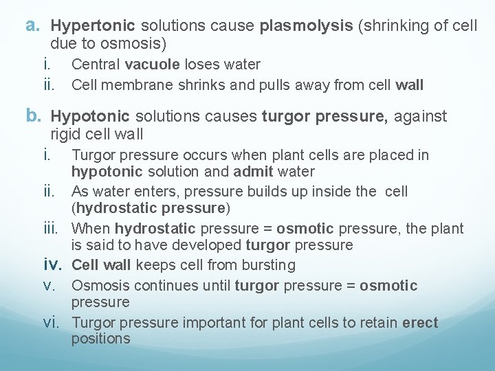 a. Hypertonic solutions cause plasmolysis (shrinking of cell due to osmosis) i. Central vacuole