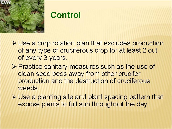 Control Ø Use a crop rotation plan that excludes production of any type of