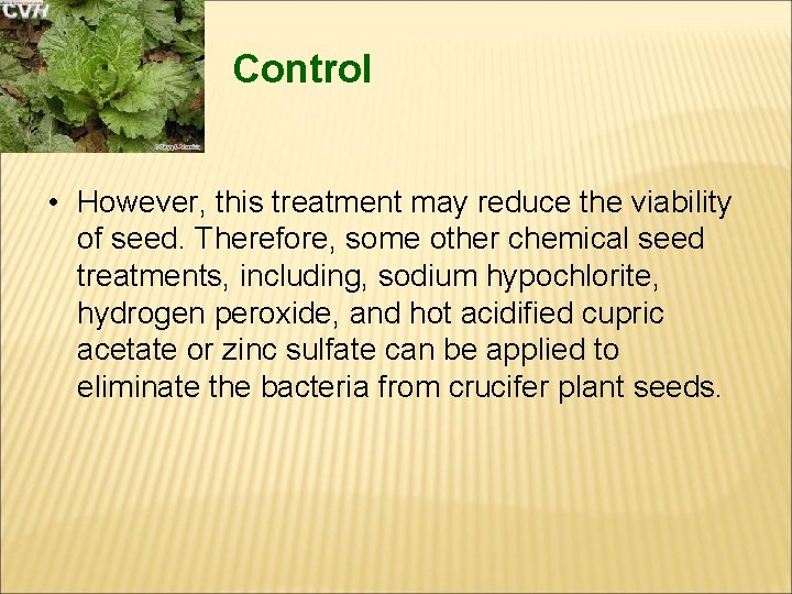 Control • However, this treatment may reduce the viability of seed. Therefore, some other