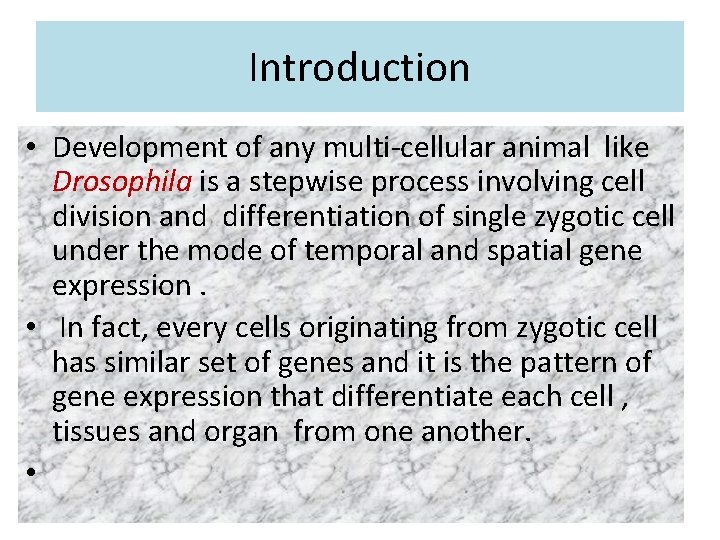 Introduction • Development of any multi-cellular animal like Drosophila is a stepwise process involving