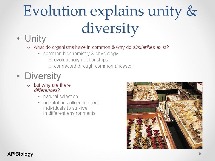 Evolution explains unity & diversity • Unity o what do organisms have in common