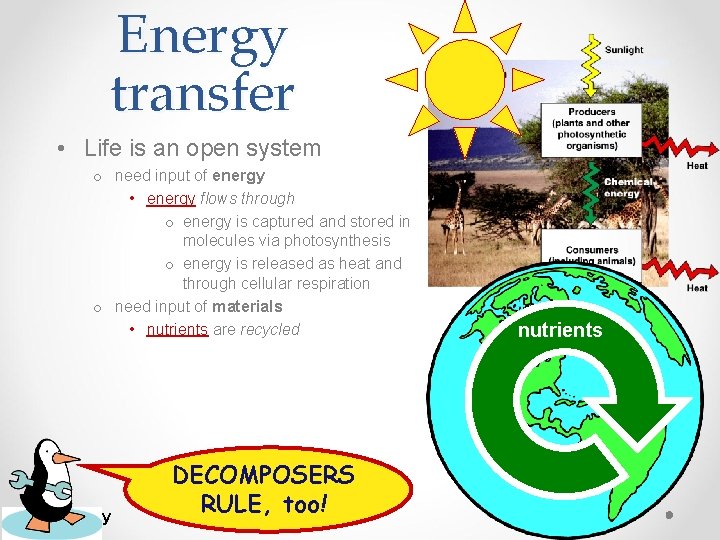 Energy transfer • Life is an open system o need input of energy •