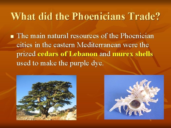 What did the Phoenicians Trade? n The main natural resources of the Phoenician cities