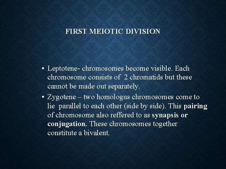 FIRST MEIOTIC DIVISION • Leptotene- chromosomes become visible. Each chromosome consists of 2 chromatids