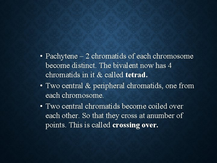  • Pachytene – 2 chromatids of each chromosome become distinct. The bivalent now