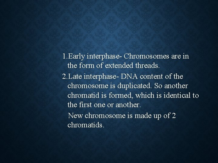 1. Early interphase- Chromosomes are in the form of extended threads. 2. Late interphase-