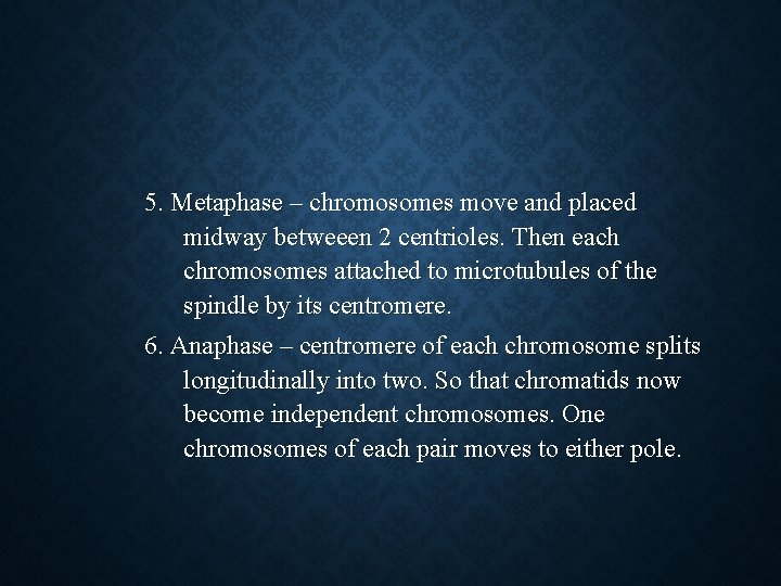 5. Metaphase – chromosomes move and placed midway betweeen 2 centrioles. Then each chromosomes