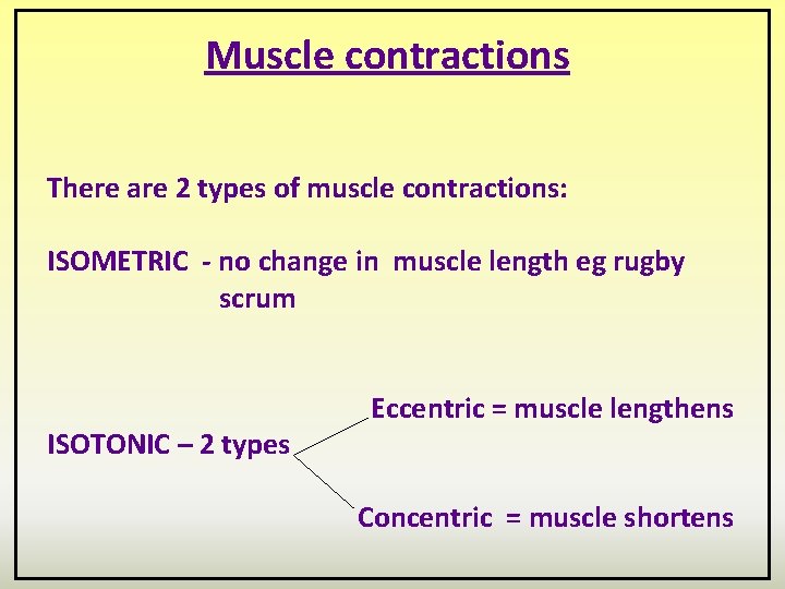 Muscle contractions There are 2 types of muscle contractions: ISOMETRIC - no change in