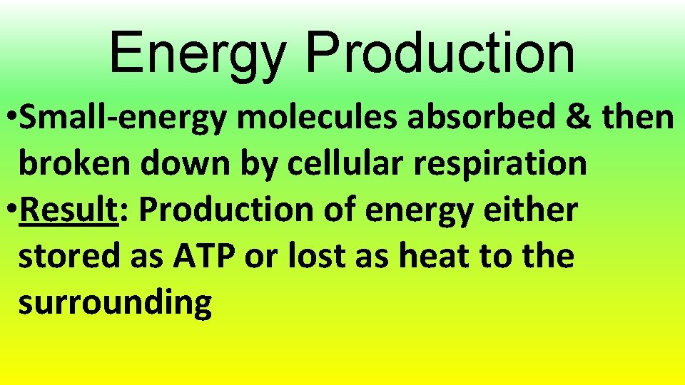 Energy Production • Small-energy molecules absorbed & then broken down by cellular respiration •