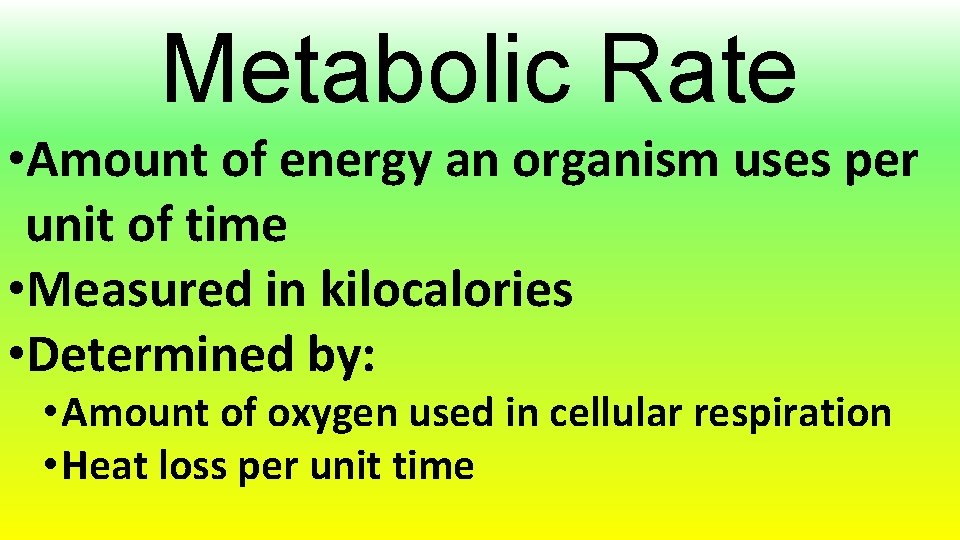 Metabolic Rate • Amount of energy an organism uses per unit of time •