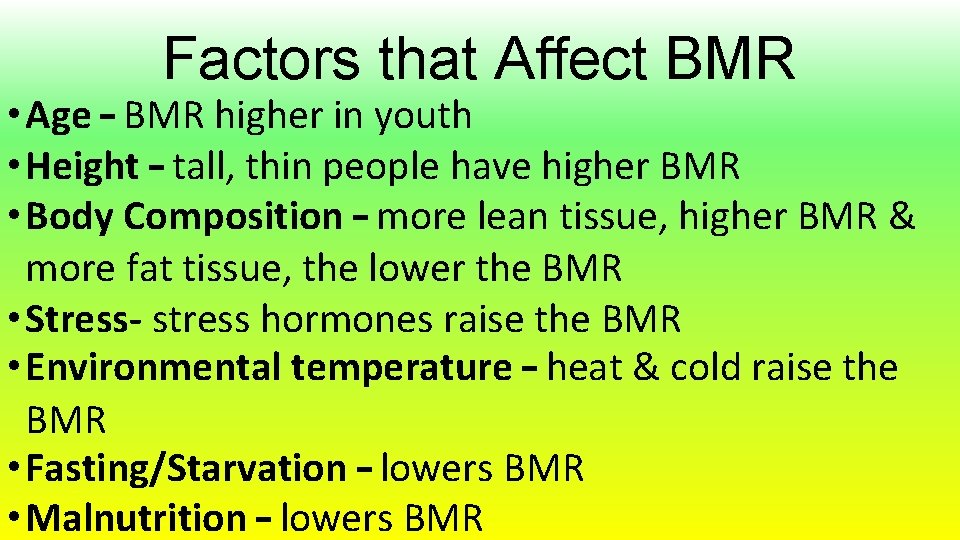 Factors that Affect BMR • Age – BMR higher in youth • Height –