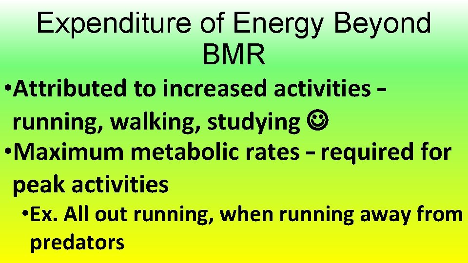 Expenditure of Energy Beyond BMR • Attributed to increased activities – running, walking, studying