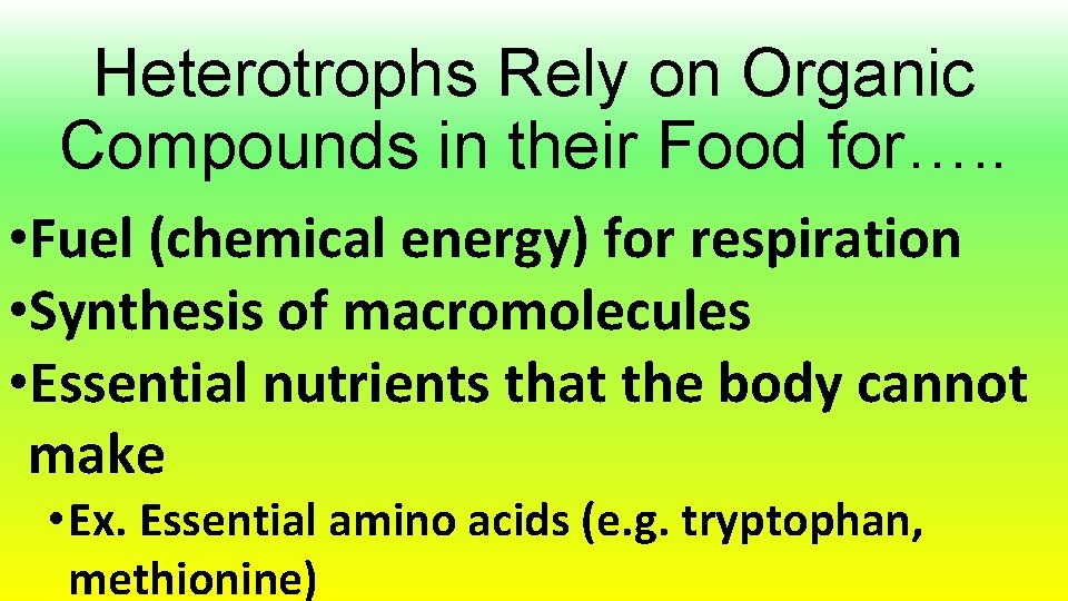 Heterotrophs Rely on Organic Compounds in their Food for…. . • Fuel (chemical energy)