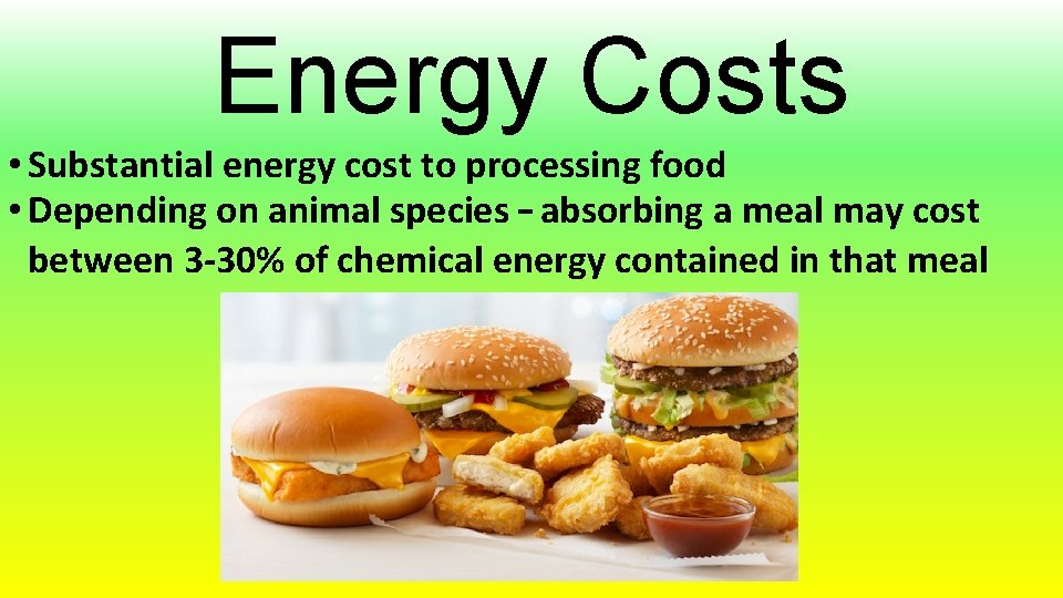 Energy Costs • Substantial energy cost to processing food • Depending on animal species