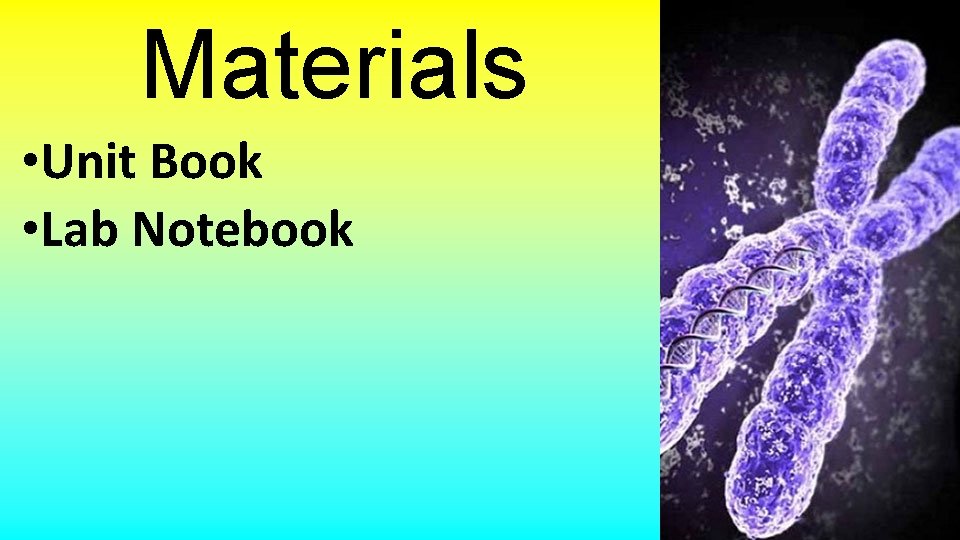 Materials • Unit Book • Lab Notebook 