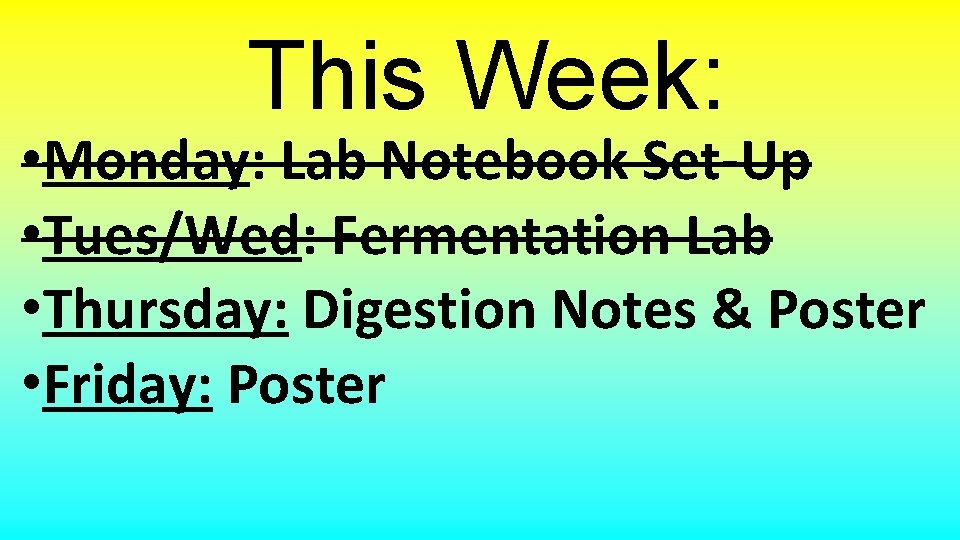 This Week: • Monday: Lab Notebook Set-Up • Tues/Wed: Fermentation Lab • Thursday: Digestion