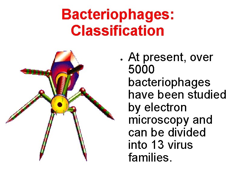 Bacteriophages: Classification At present, over 5000 bacteriophages have been studied by electron microscopy and
