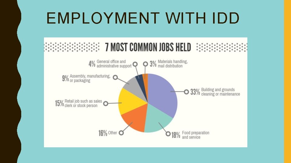 EMPLOYMENT WITH IDD 