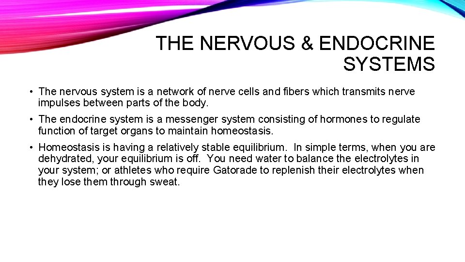 THE NERVOUS & ENDOCRINE SYSTEMS • The nervous system is a network of nerve