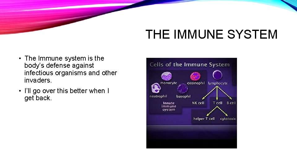 THE IMMUNE SYSTEM • The Immune system is the body’s defense against infectious organisms