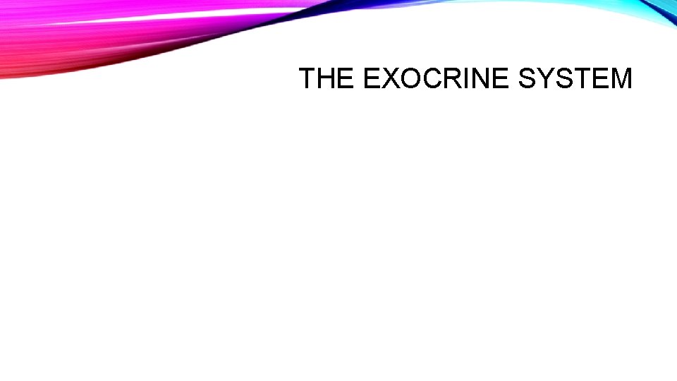 THE EXOCRINE SYSTEM 