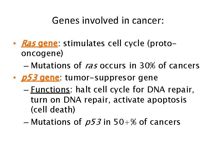 Genes involved in cancer: • Ras gene: stimulates cell cycle (protooncogene) – Mutations of