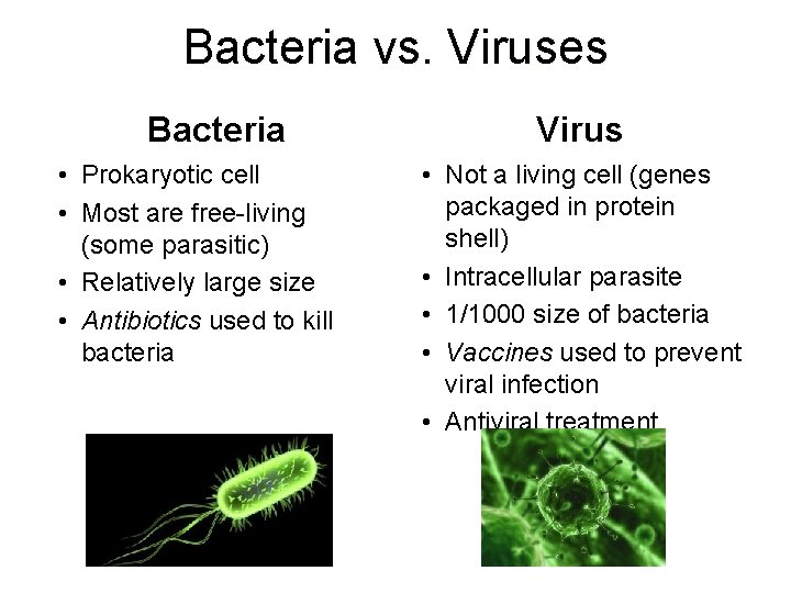 Bacteria vs. Viruses Bacteria • Prokaryotic cell • Most are free-living (some parasitic) •