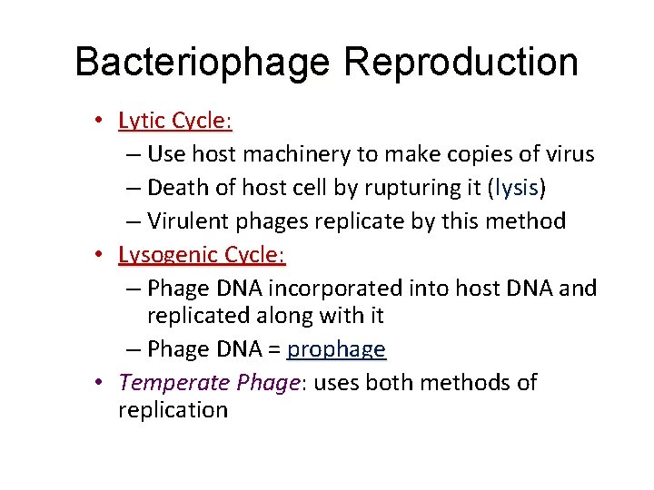 Bacteriophage Reproduction • Lytic Cycle: – Use host machinery to make copies of virus
