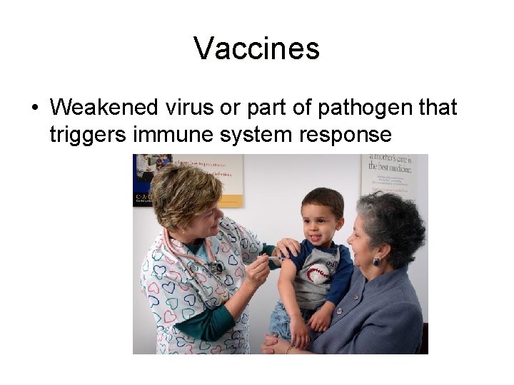 Vaccines • Weakened virus or part of pathogen that triggers immune system response 